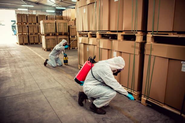 Best Emergency Pest Control  in Clarkson Valley, MO
