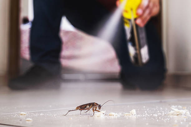 Best Commercial Pest Control Services  in Clarkson Valley, MO