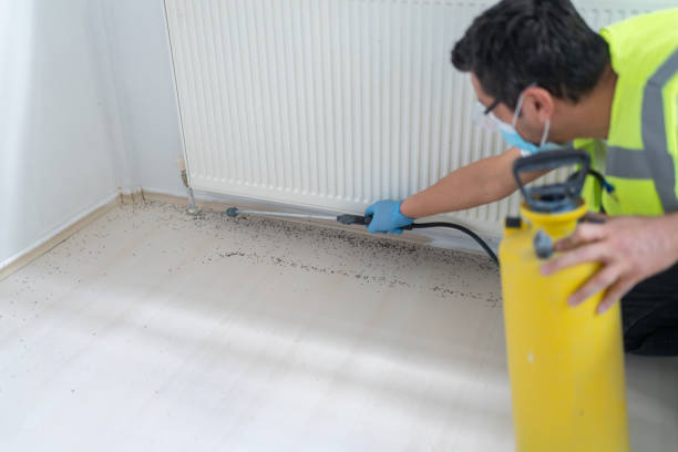 Best Affordable Pest Control Services  in Clarkson Valley, MO