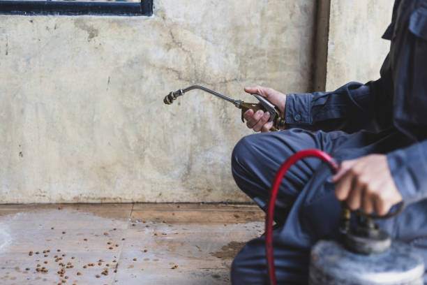 Best Local Pest Control Services  in Clarkson Valley, MO