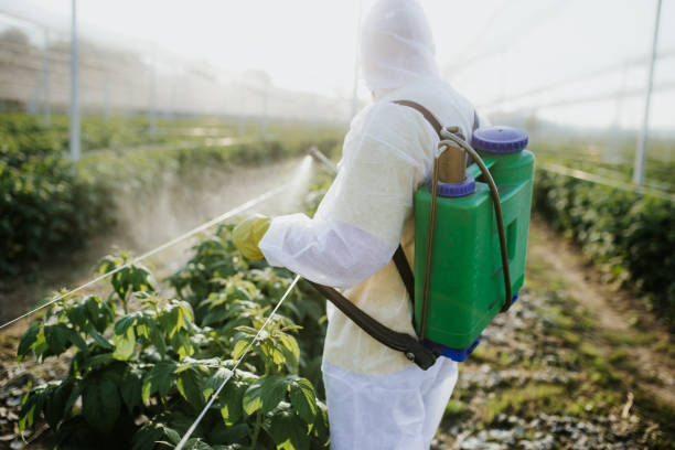 Best Commercial Pest Control Services  in Clarkson Valley, MO